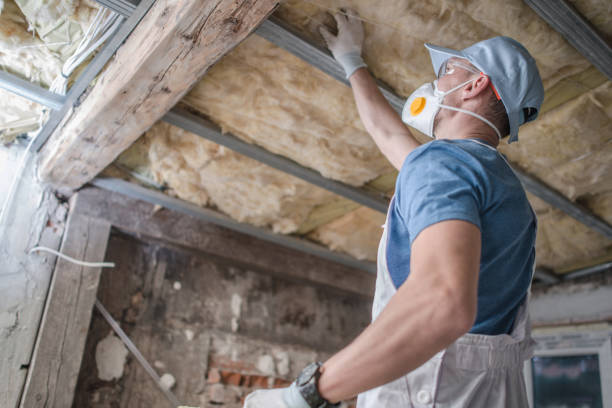 Best DIY Insulation Kits and Guidance in Dermott, AR