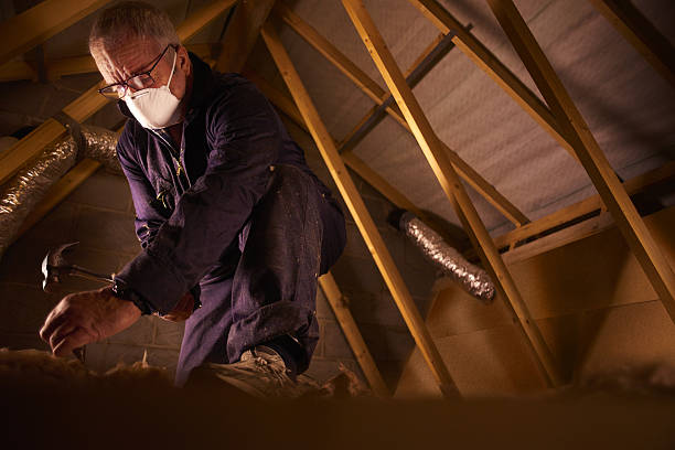 Trusted Dermott, AR Insulation Contractor Experts