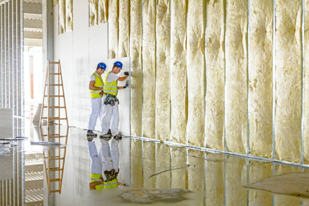 Best Geographic-Specific Insulation Services in Dermott, AR